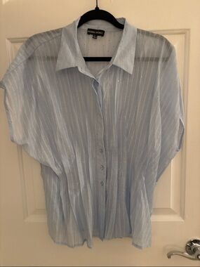 Modern Works Light Blue Sheer Button-Down Blouse